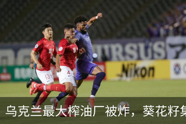 乌克兰最大榨油厂被炸，葵花籽集中上市前夕，俄军真是缺德到家了