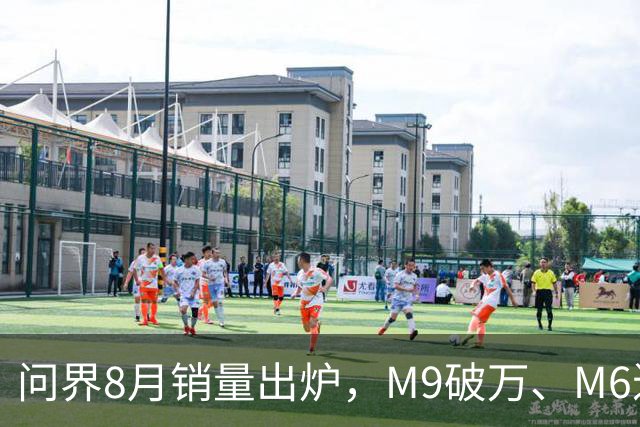 问界8月销量出炉，M9破万、M6近八千，M8一路下滑！